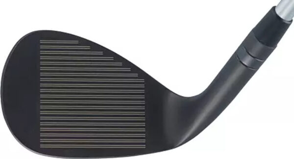 TA21845WEDGE NOCOLOR DET  01410